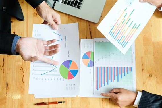 Common-Size Balance Sheet and Financial Ratio Analysis